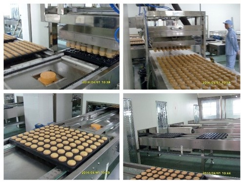 Dây chuyền sản xuất bánh trứng tự động